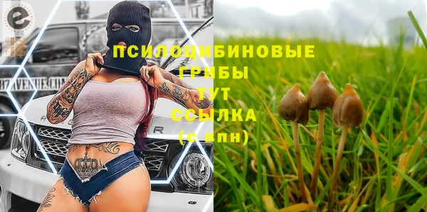 метадон Алзамай