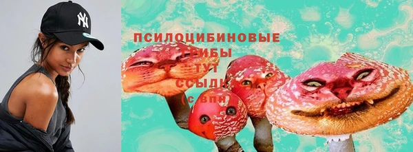 твердый Алексеевка