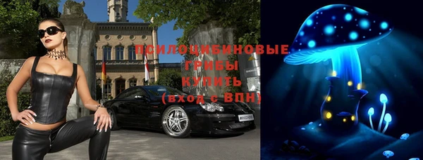 МДПВ Алексин
